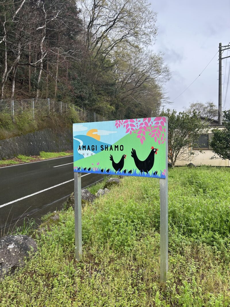 伊豆 堀江養鶏場