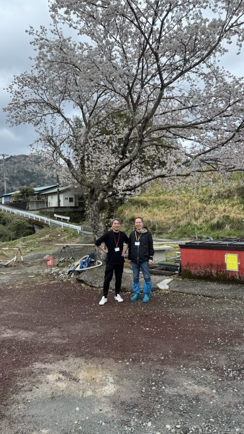 伊豆 堀江養鶏場 品川イッコー 福島親方