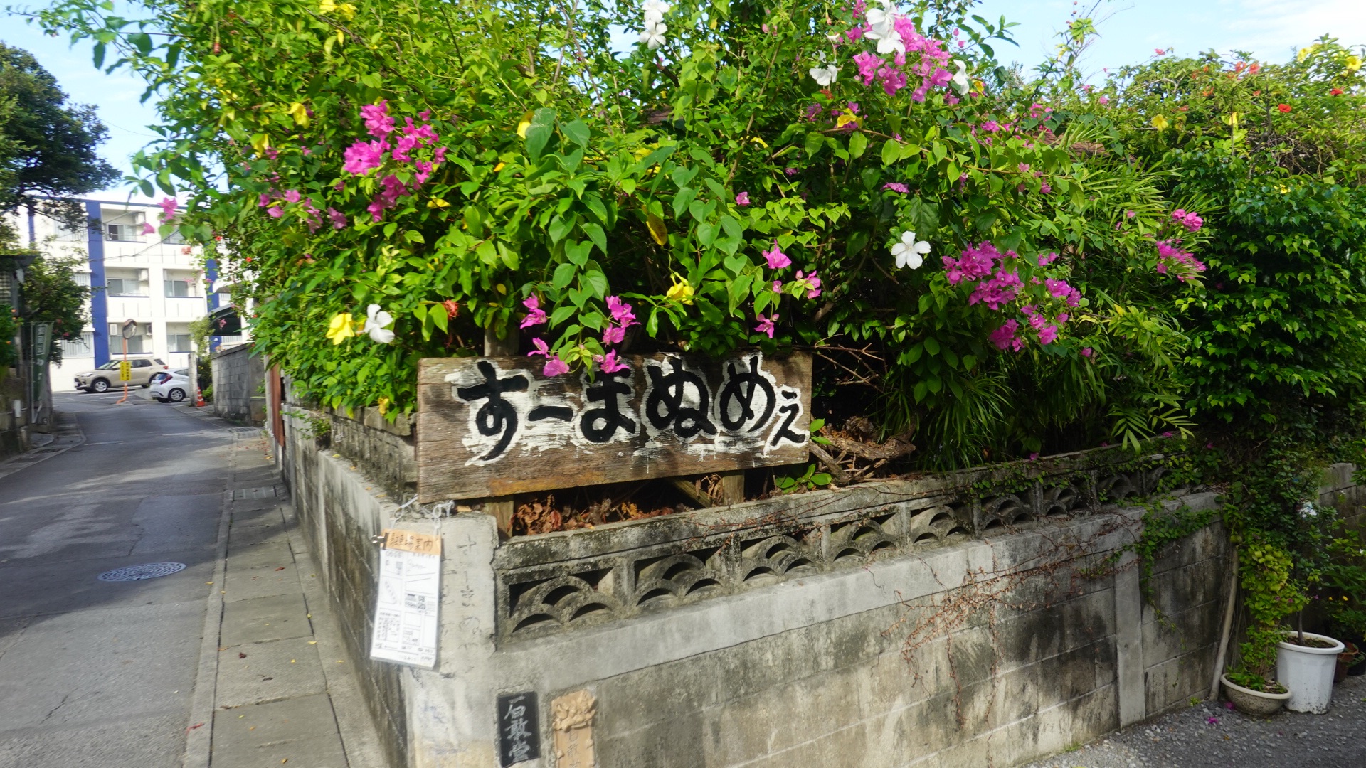 沖縄 すーまぬめぇ 店の外観