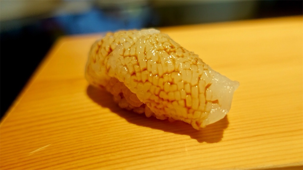 富山 鮨人 アオリイカ