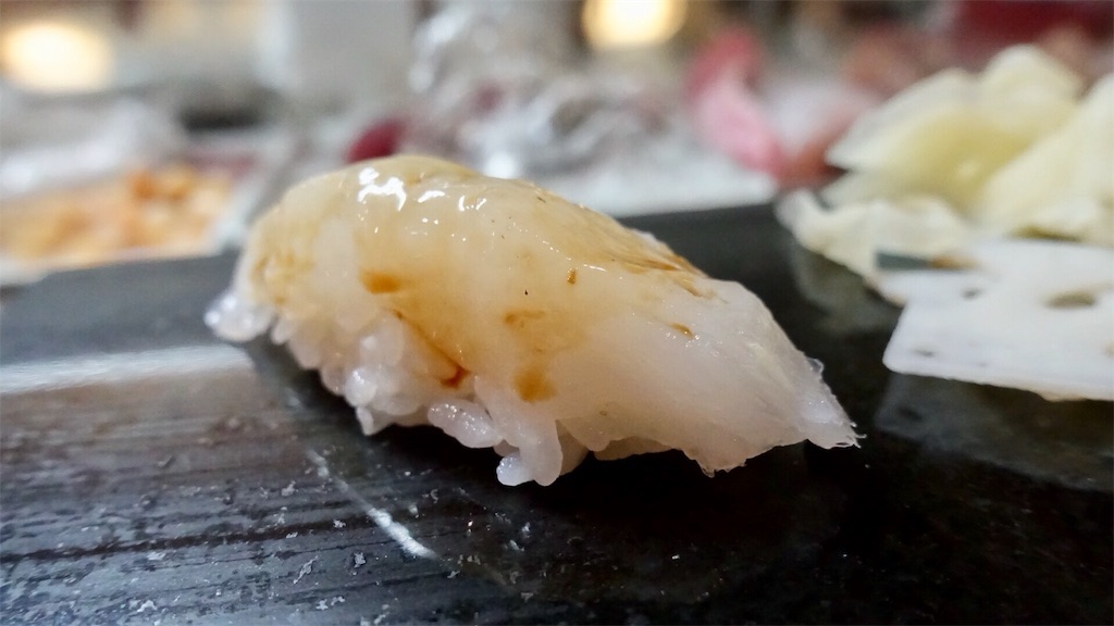 笠間 松榮鮨 アオリイカ