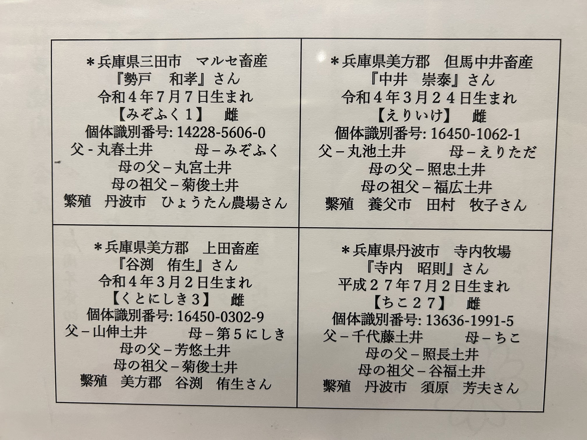 高田馬場 神戸焼肉 金虎 但馬牛ランプ 4個体食べ比べ