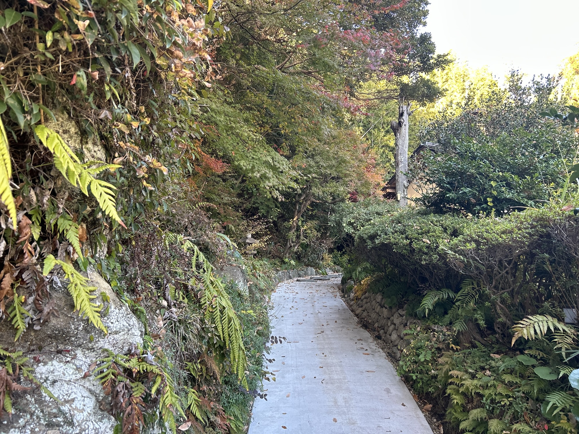 鎌倉 霹靂 店の外観