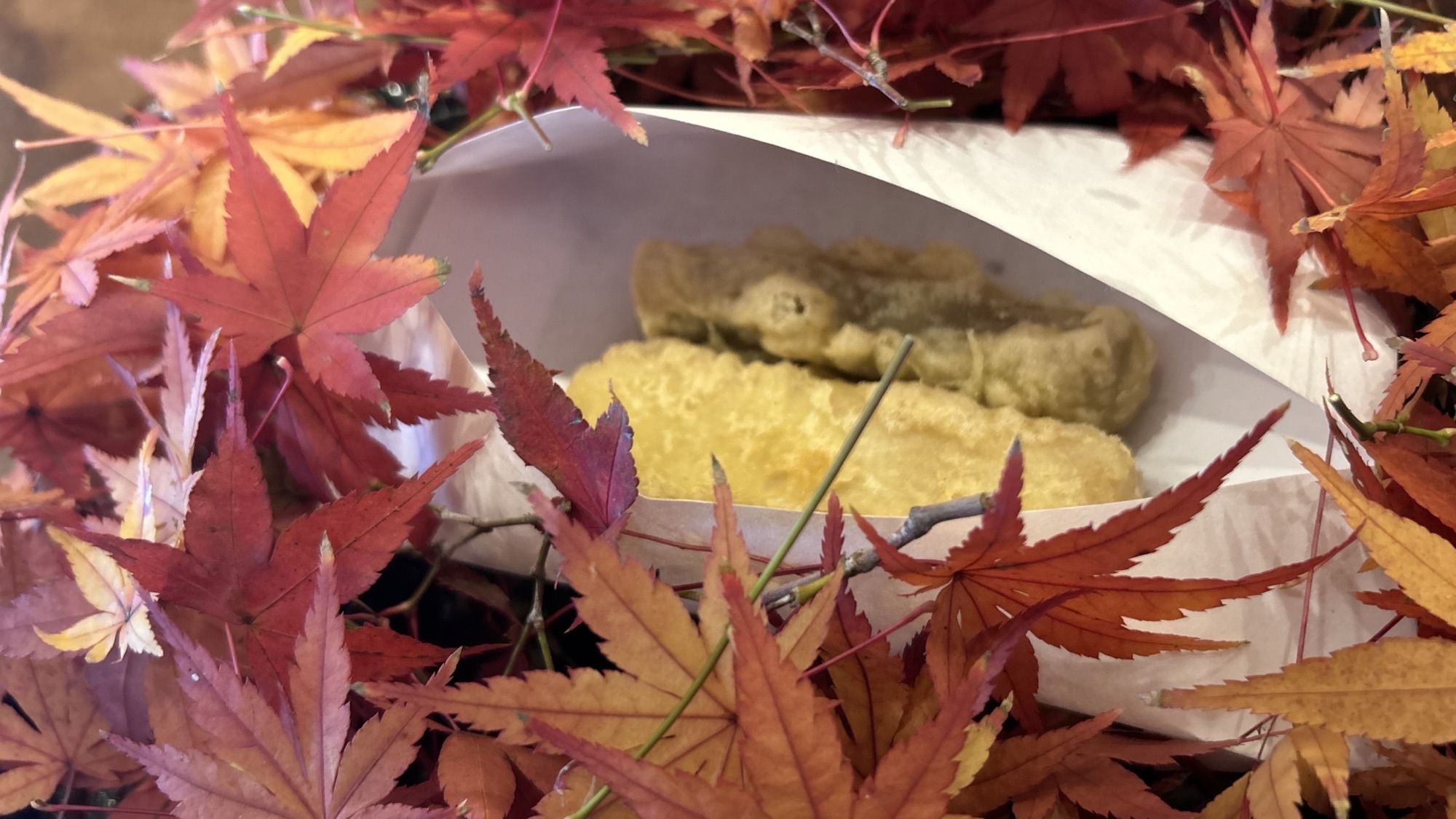 神奈川 鎌倉 北じま 海老芋と牛蒡の天ぷら