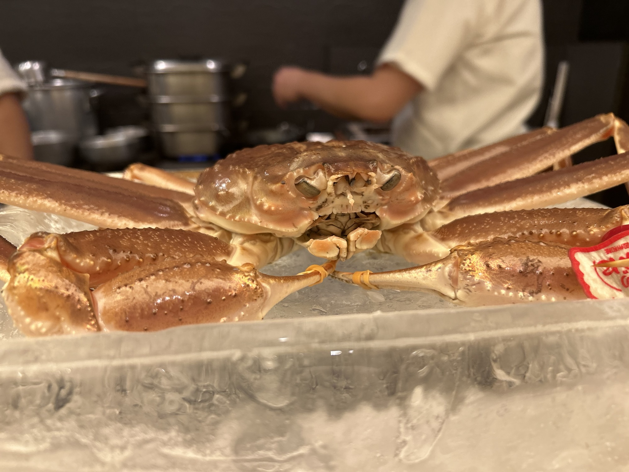 銀座 粋京 松葉蟹