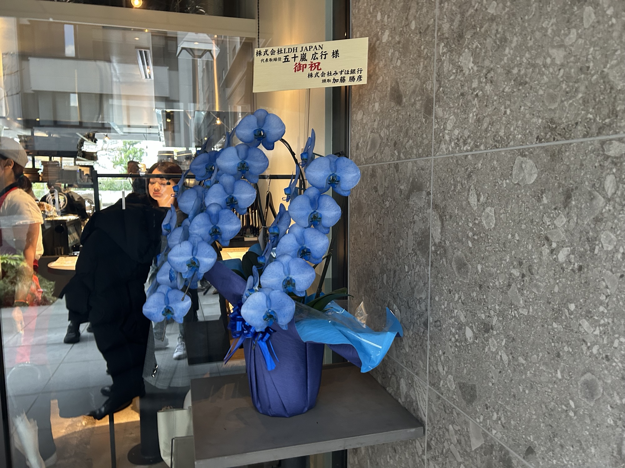 田町 芝浦とりまち 胡蝶蘭