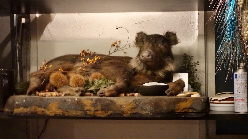 六本木 またぎ 剥製