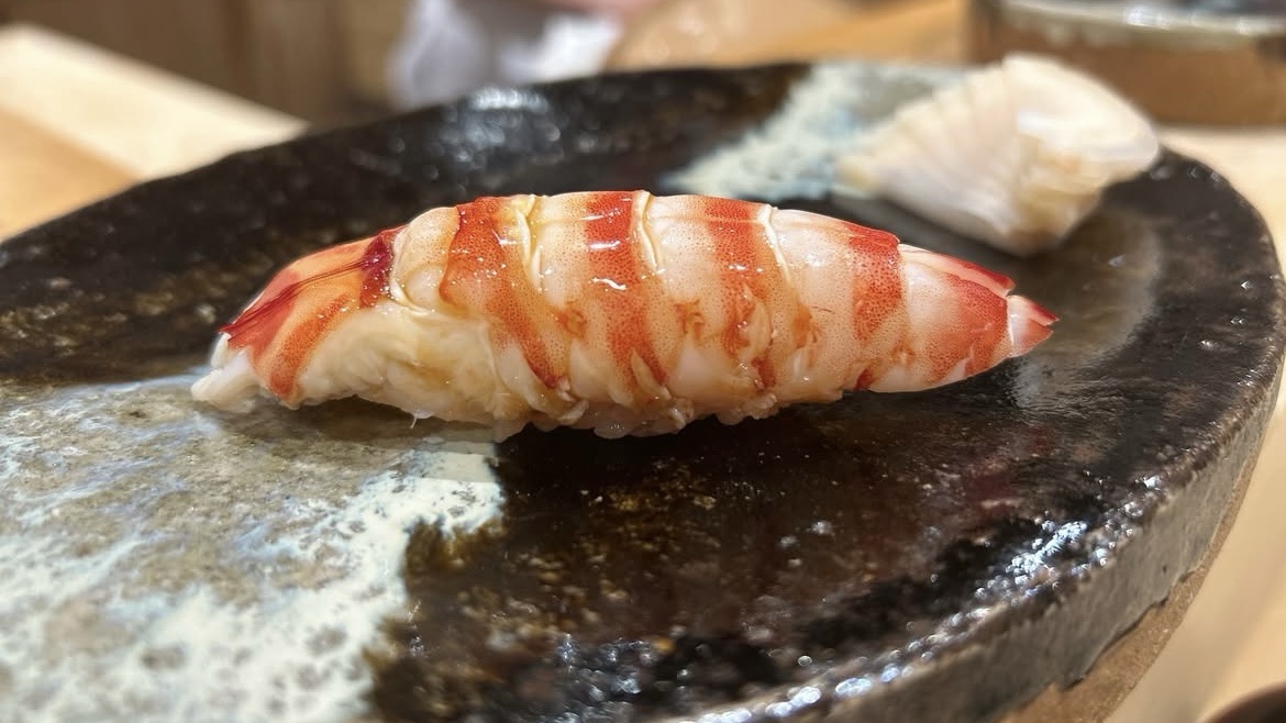 新富町 鮨 美幸 車海老