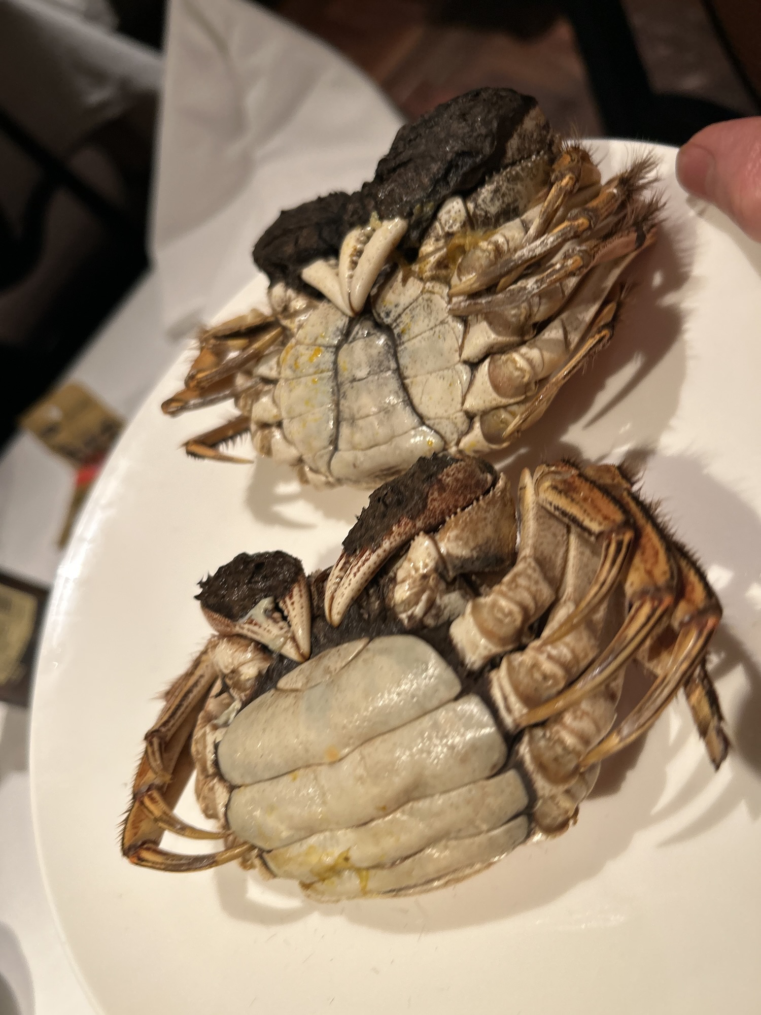 六本木 中国飯店 六本木店 上海蟹