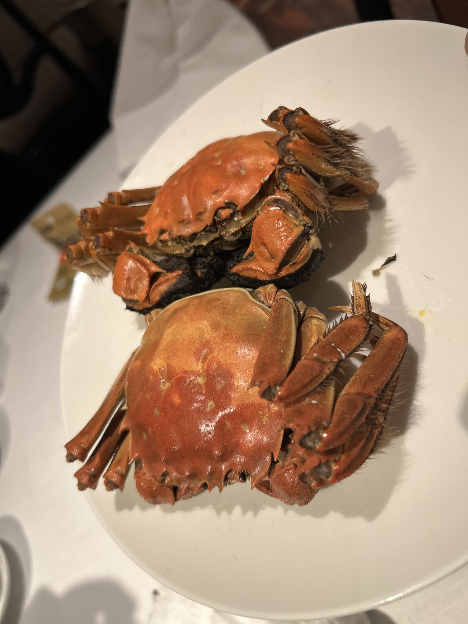 六本木 中国飯店 六本木店 上海蟹