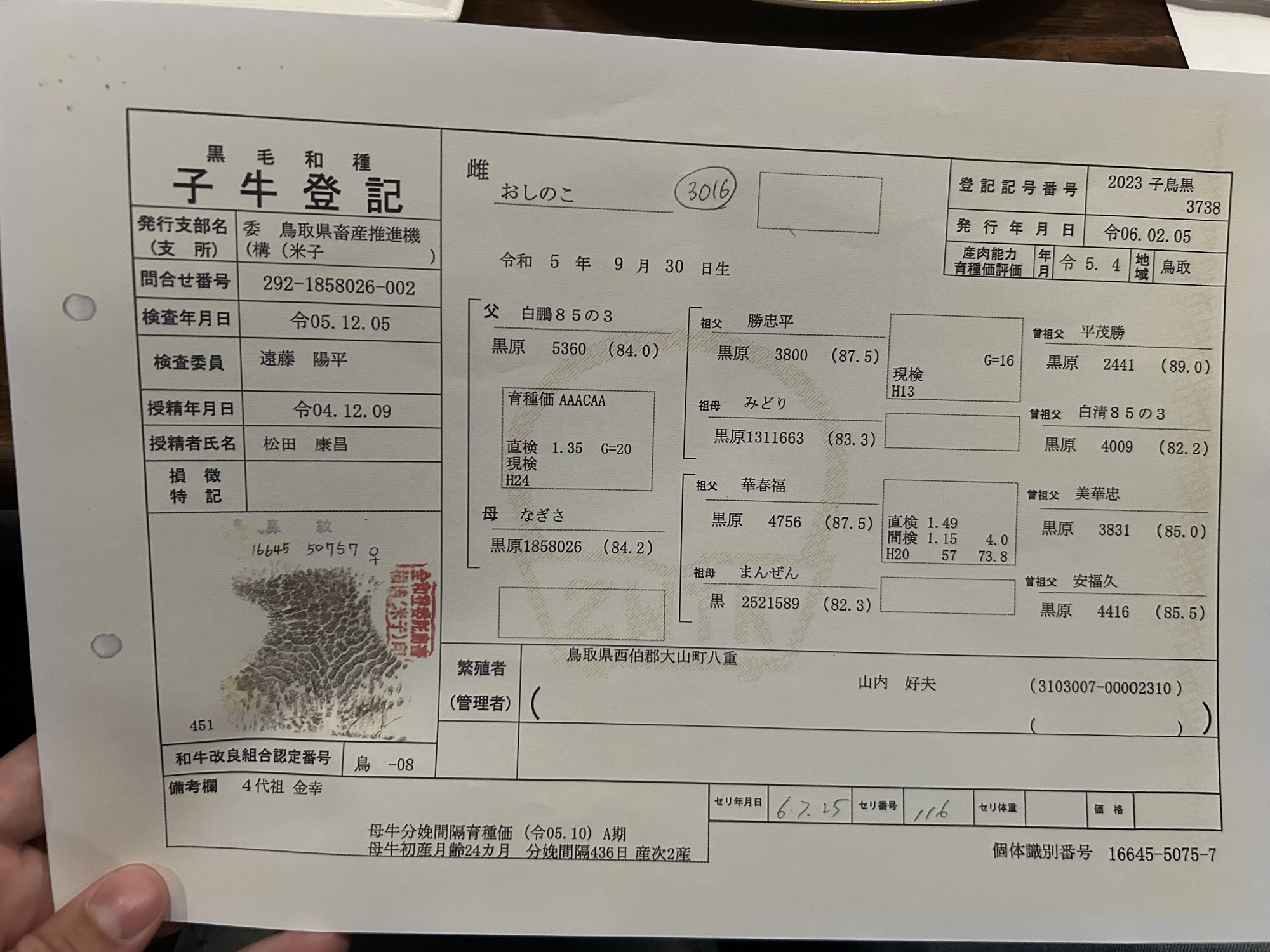 鳥取市 J’ai la pêche! 登記