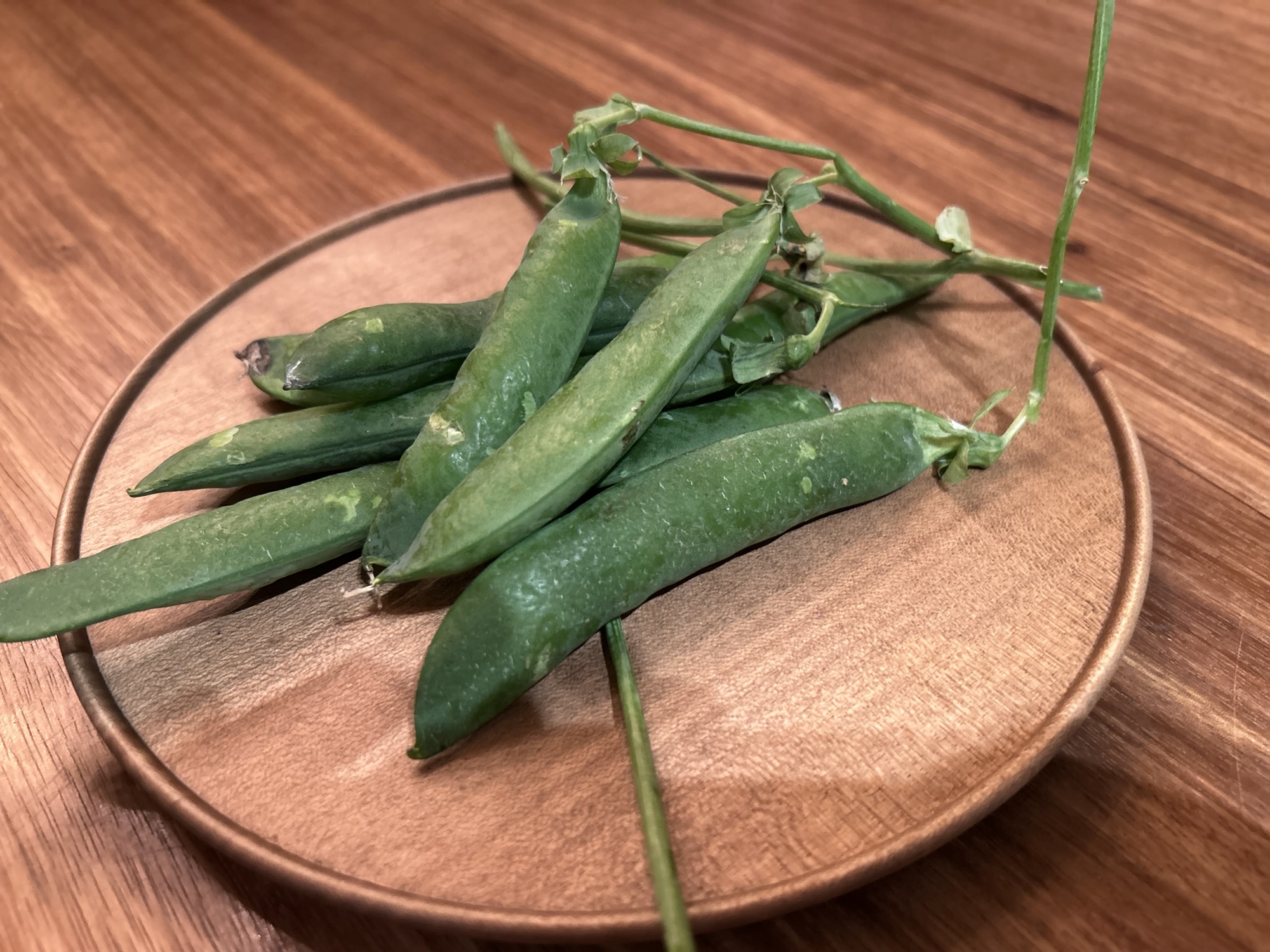 二子玉川 前芝料理店 ピゼリ