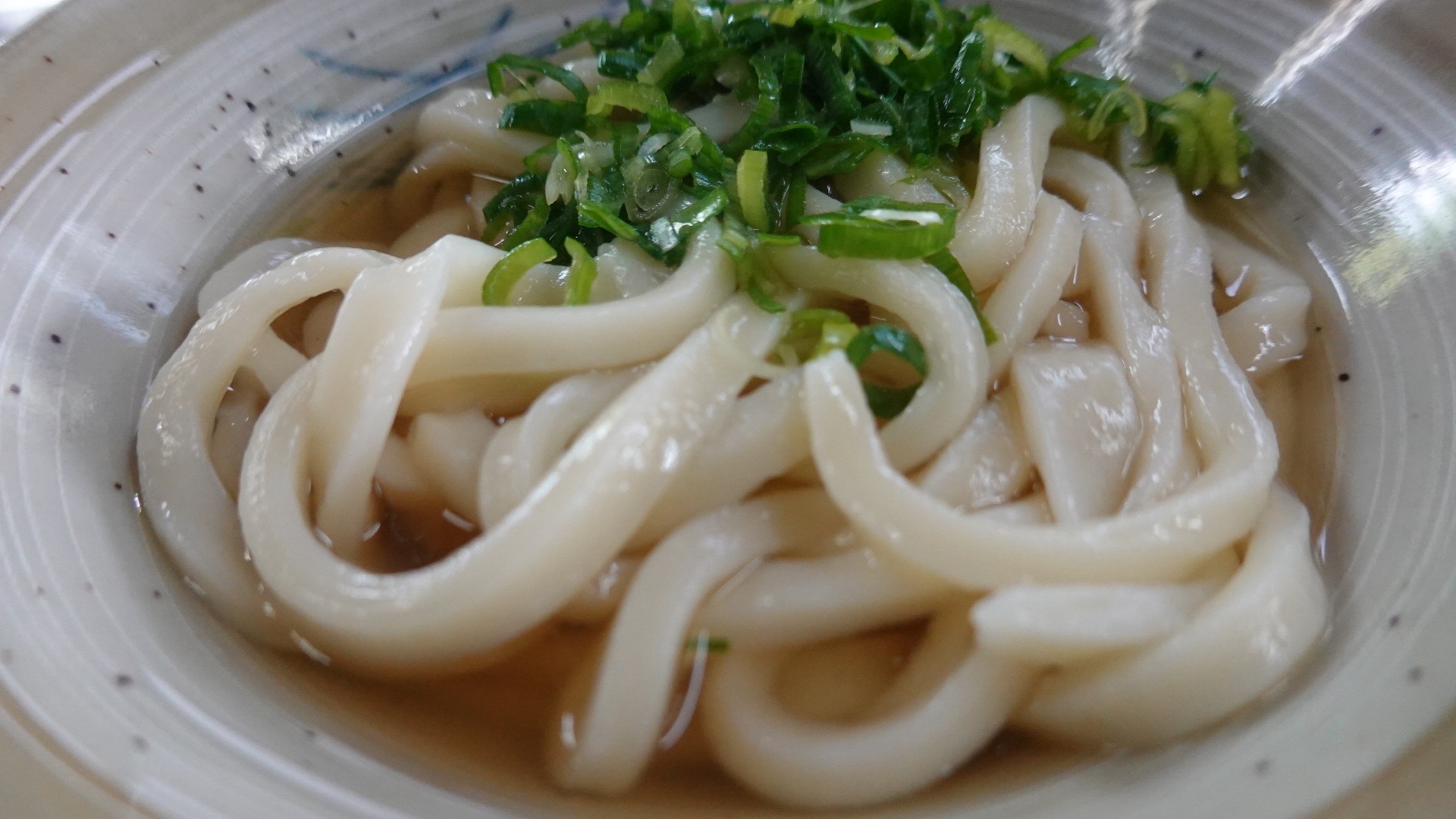 坂出 山下うどん かけうどん