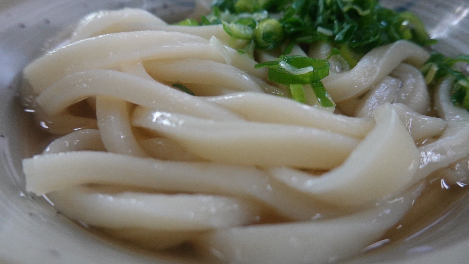 坂出 山下うどん かけうどん