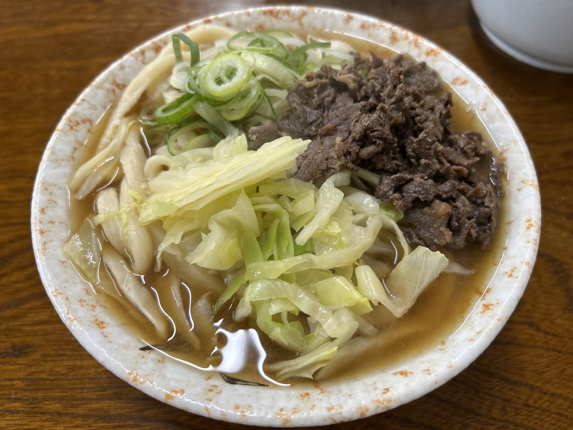 河口湖 たけ川うどん 肉うどん
