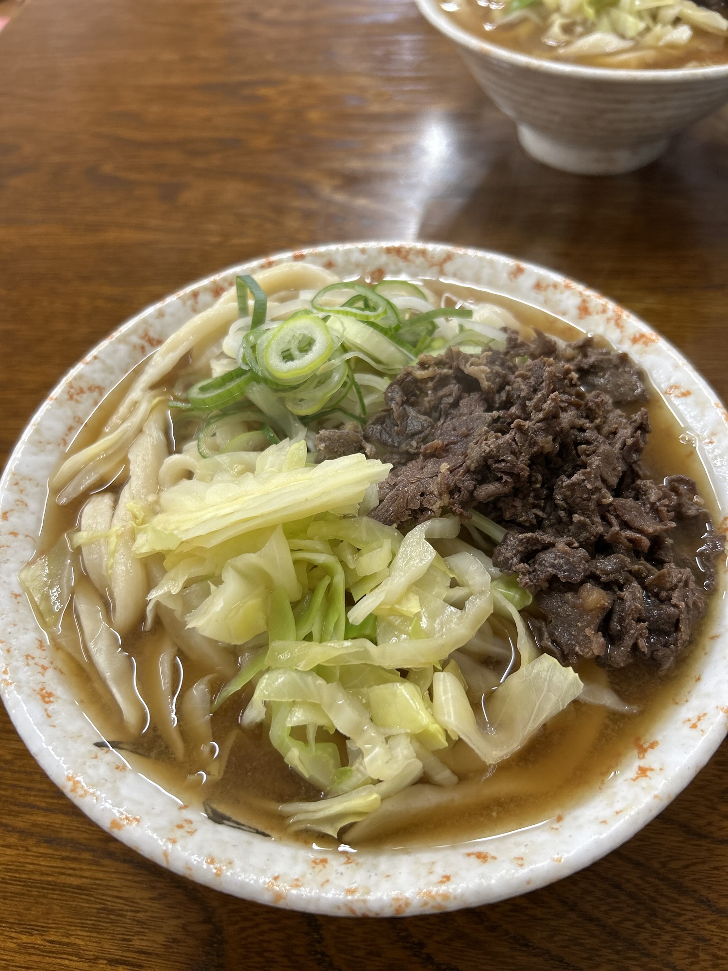 河口湖 たけ川うどん 肉うどん
