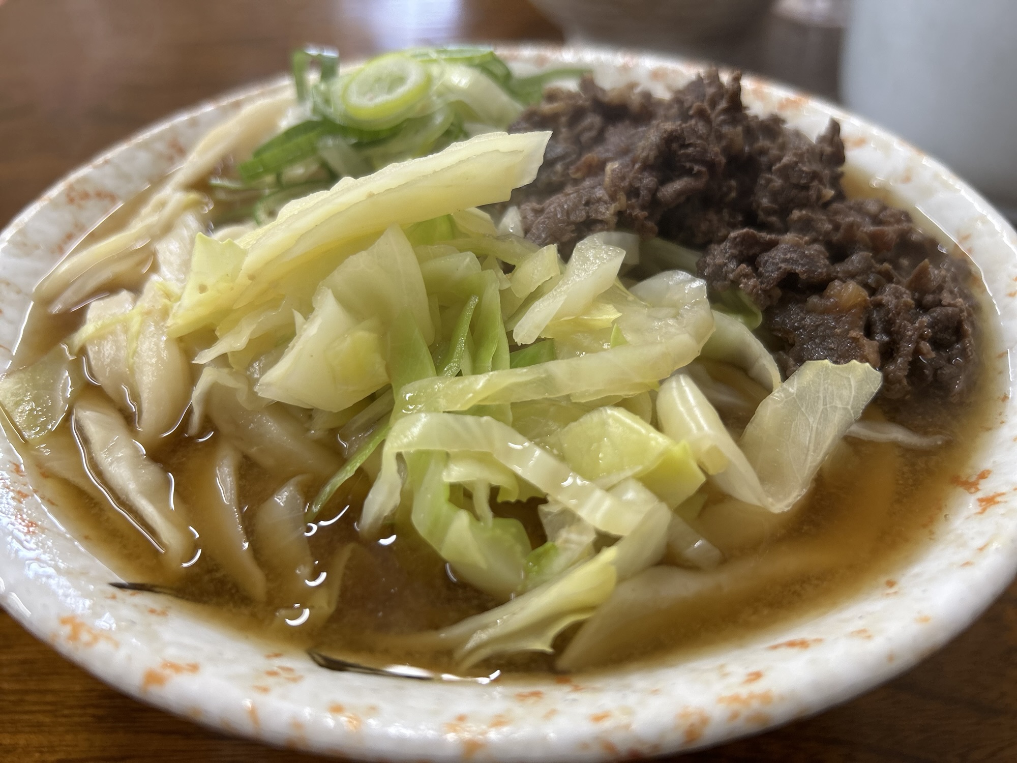 河口湖 たけ川うどん 肉うどん