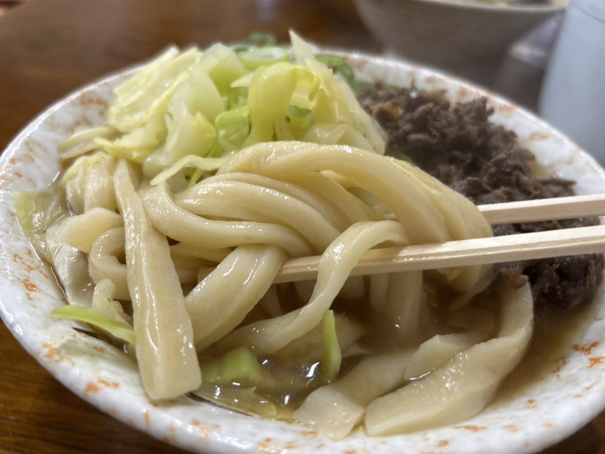 河口湖 たけ川うどん 肉うどん