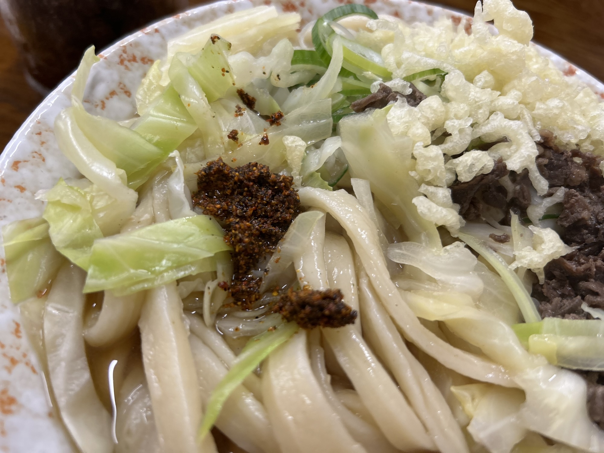 河口湖 たけ川うどん 肉うどん