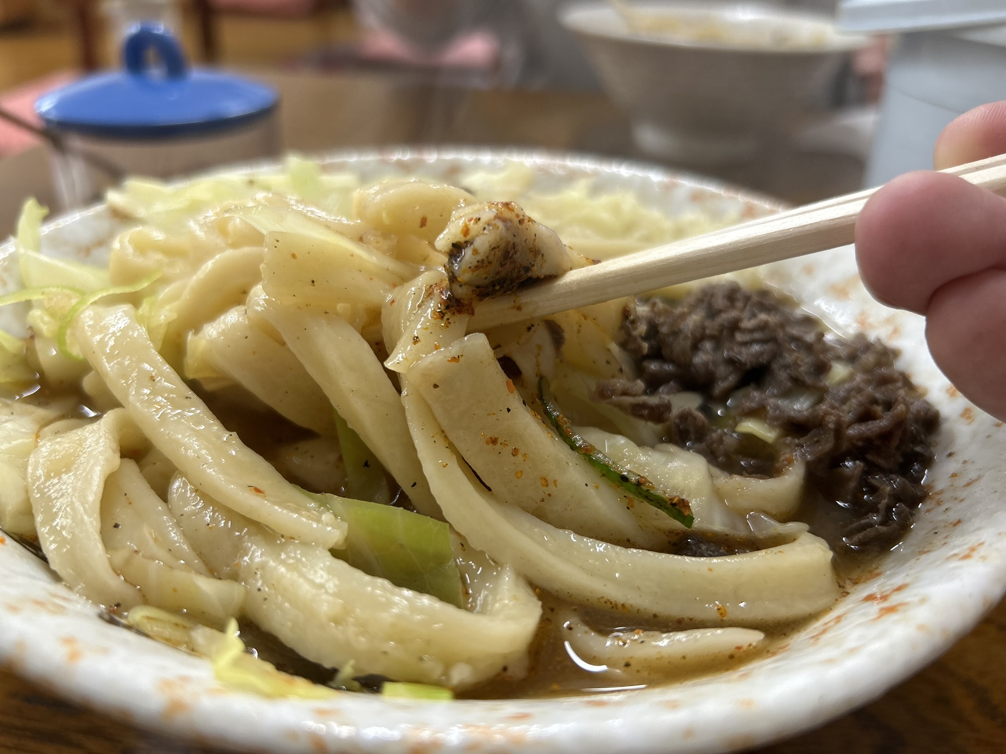 河口湖 たけ川うどん 肉うどん