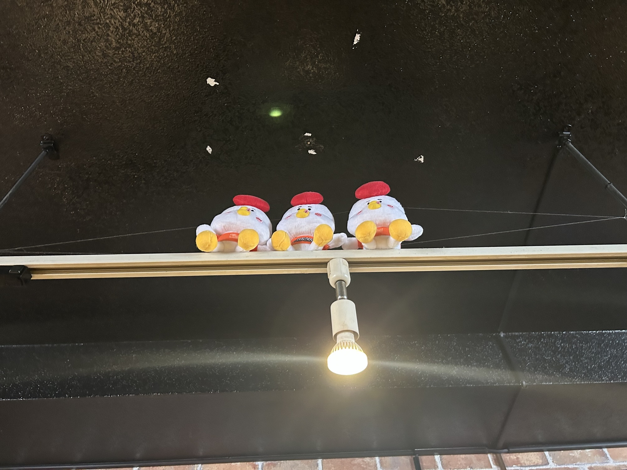 新大久保 ネネチキン 2号店 店内