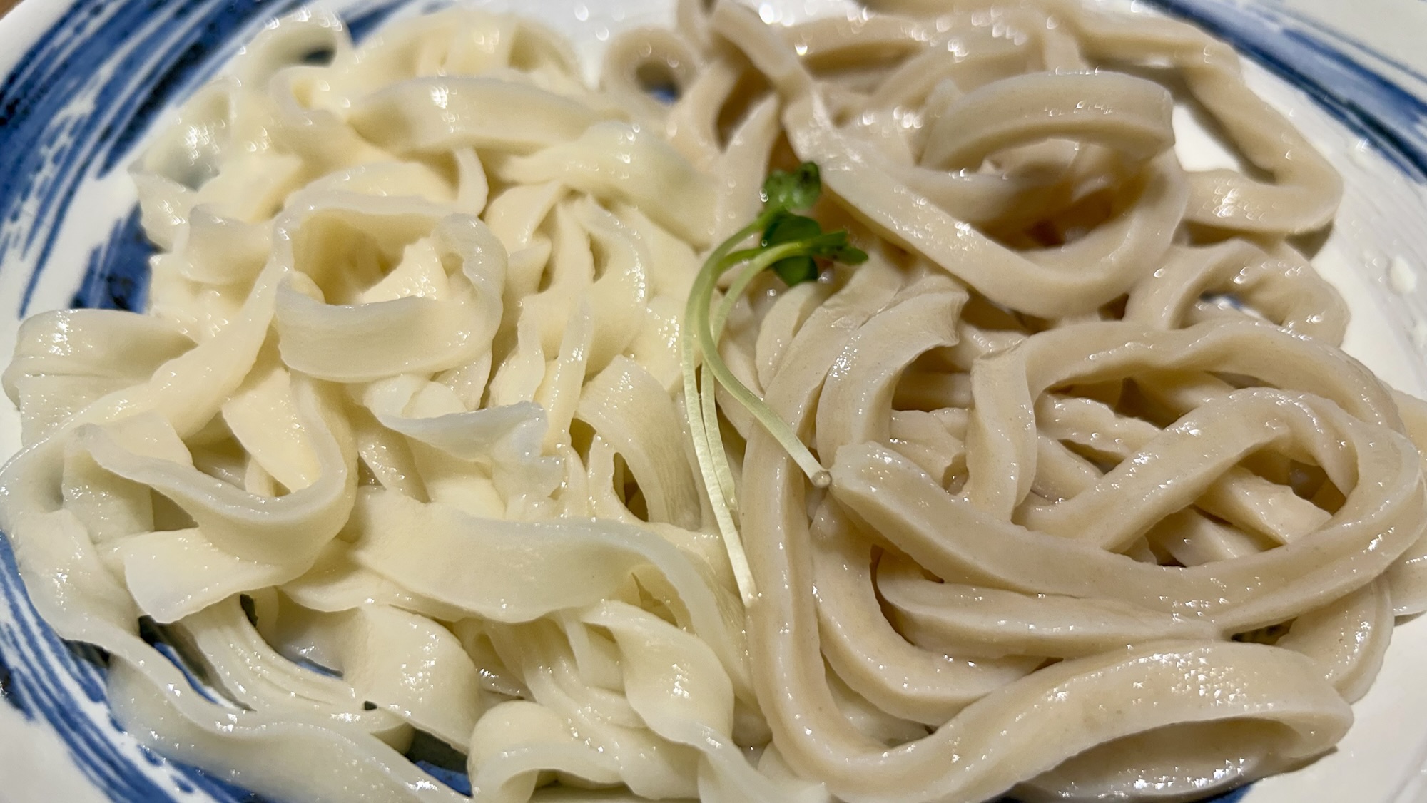向ヶ丘遊園 肉汁うどん 麦とろ 柳 肉汁うどん