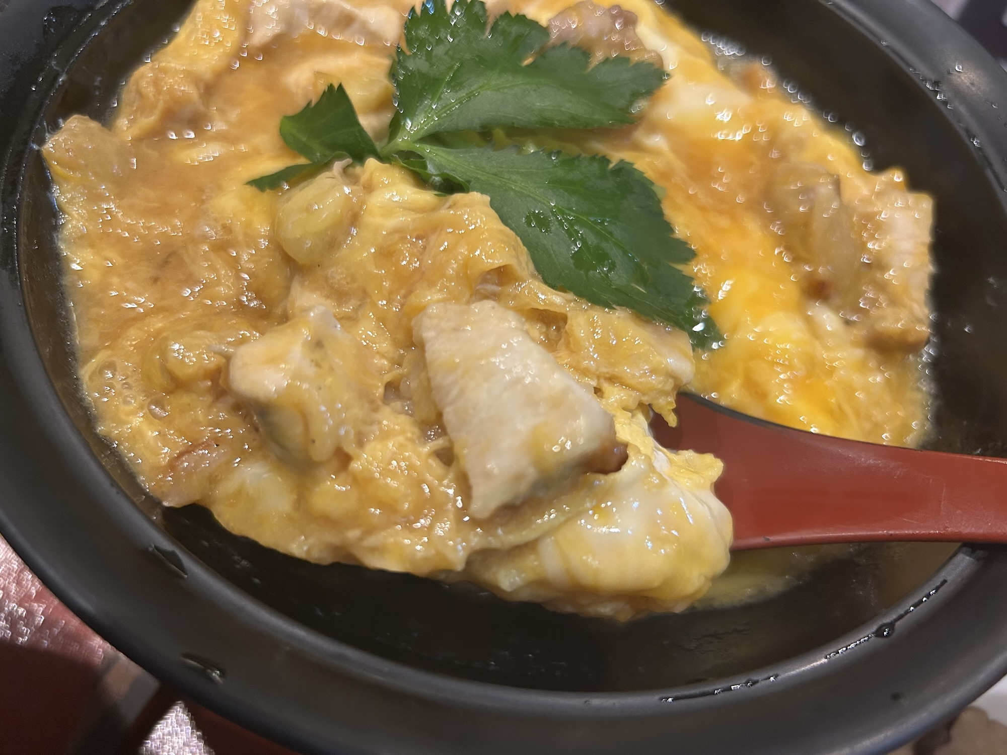 神楽坂 本家あべや 神楽坂店 究極の親子丼