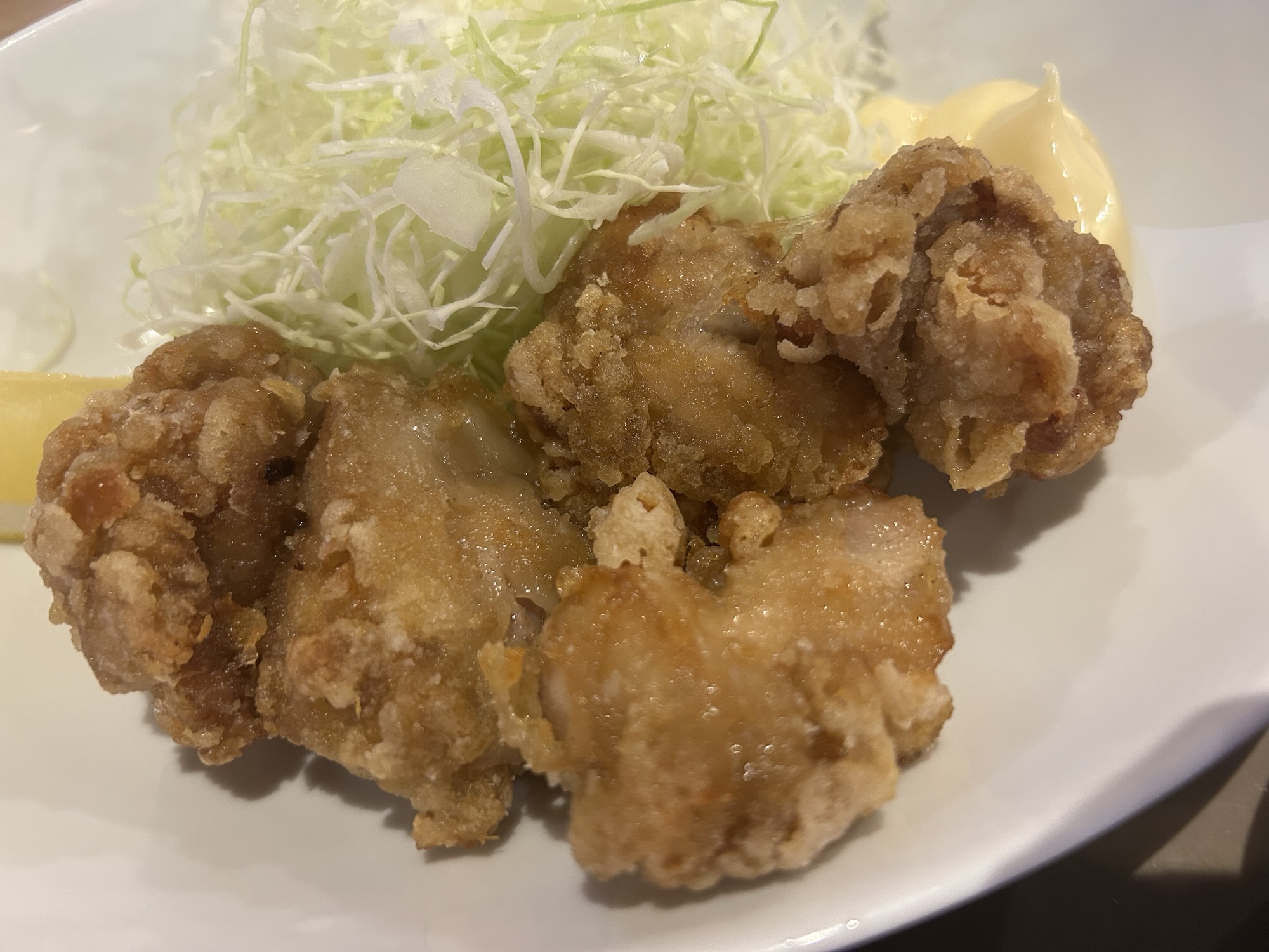 横川SA上り 峠の釜めし本舗 おぎのや から揚げ定食