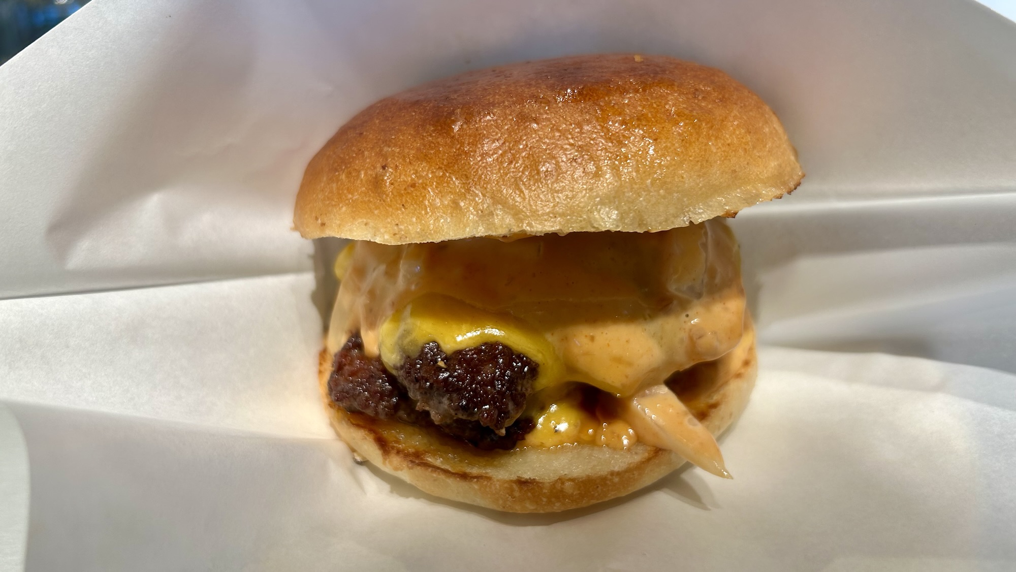 立川 TACHIHI BREWERY 和牛クラシックダブルチーズバーガー