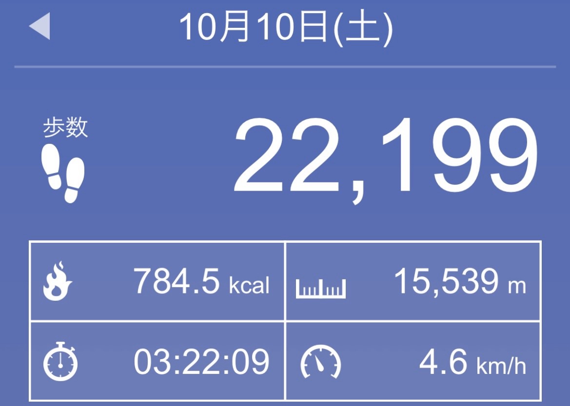 ジブリパーク 万歩計