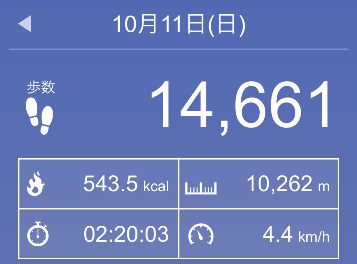 万歩計